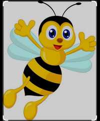 Бджолопакети Пчелопакет Бджоли.