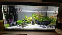 Akwarium aquel 60l