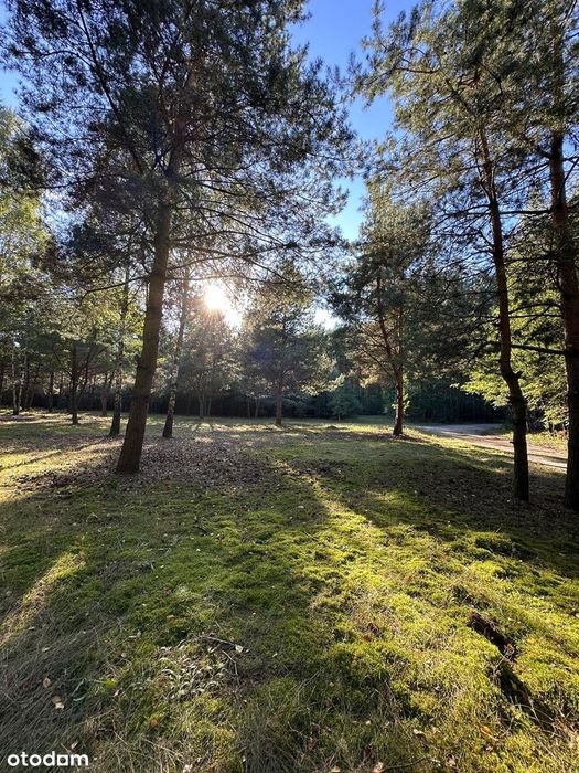 Miejsce Wyjątkowe, Urokliwe I Pożądane. Mmedia W Drodze :-)