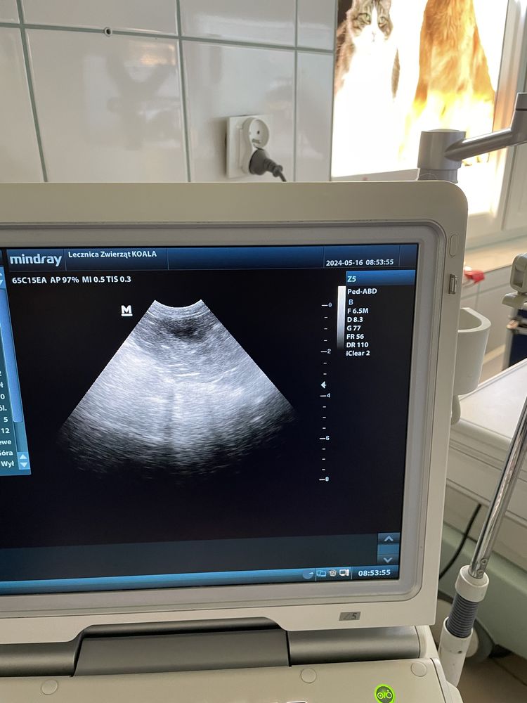 Ultrasonograf USG aparat Mindray z 5
