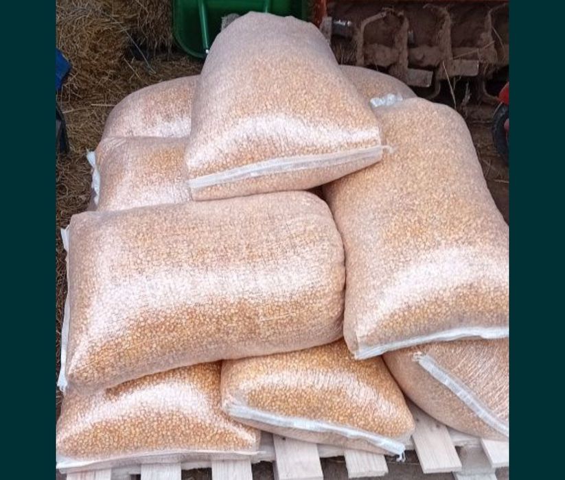 Vendo milho miúdo Belgrano