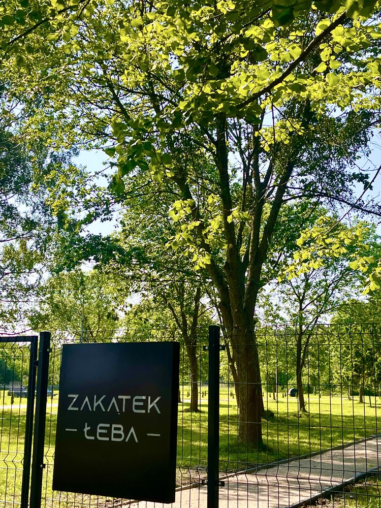 Pole namiotowe Łeba + miejsce na kampery