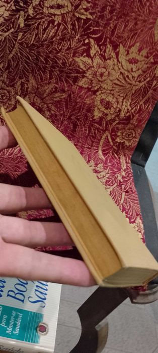 Amor Crioulo 1927 Abel Botelho