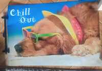 plakat pies plaża Chill out  chillout