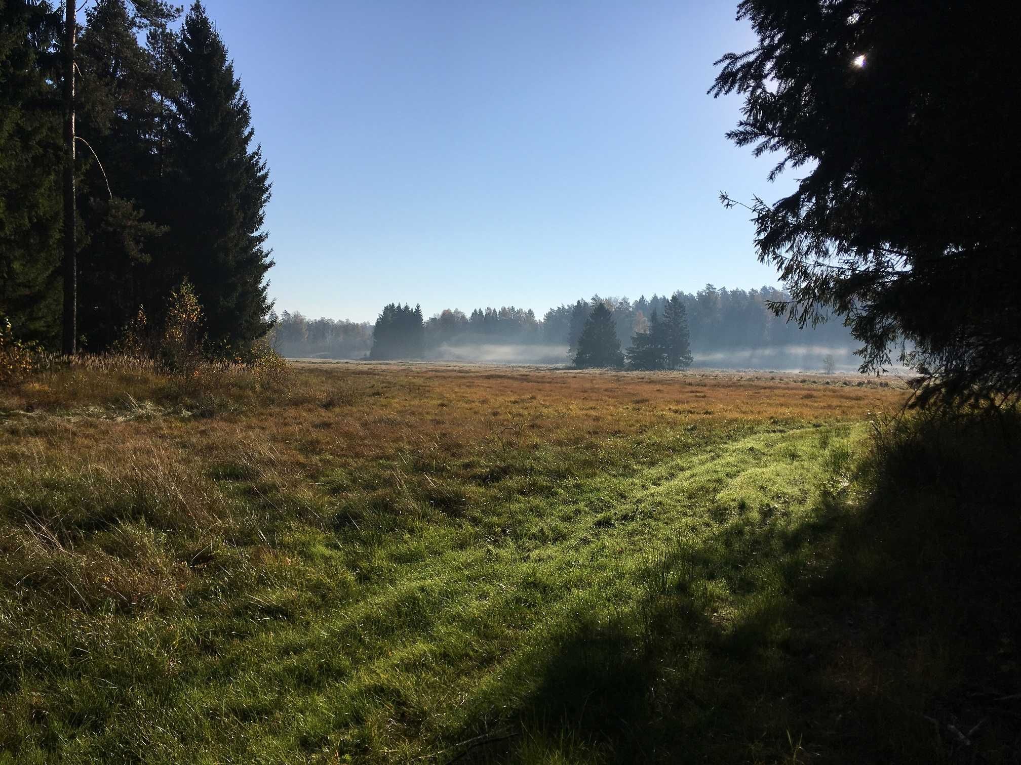 Domek letniskowy w malowniczym otoczeniu jezior i lasów