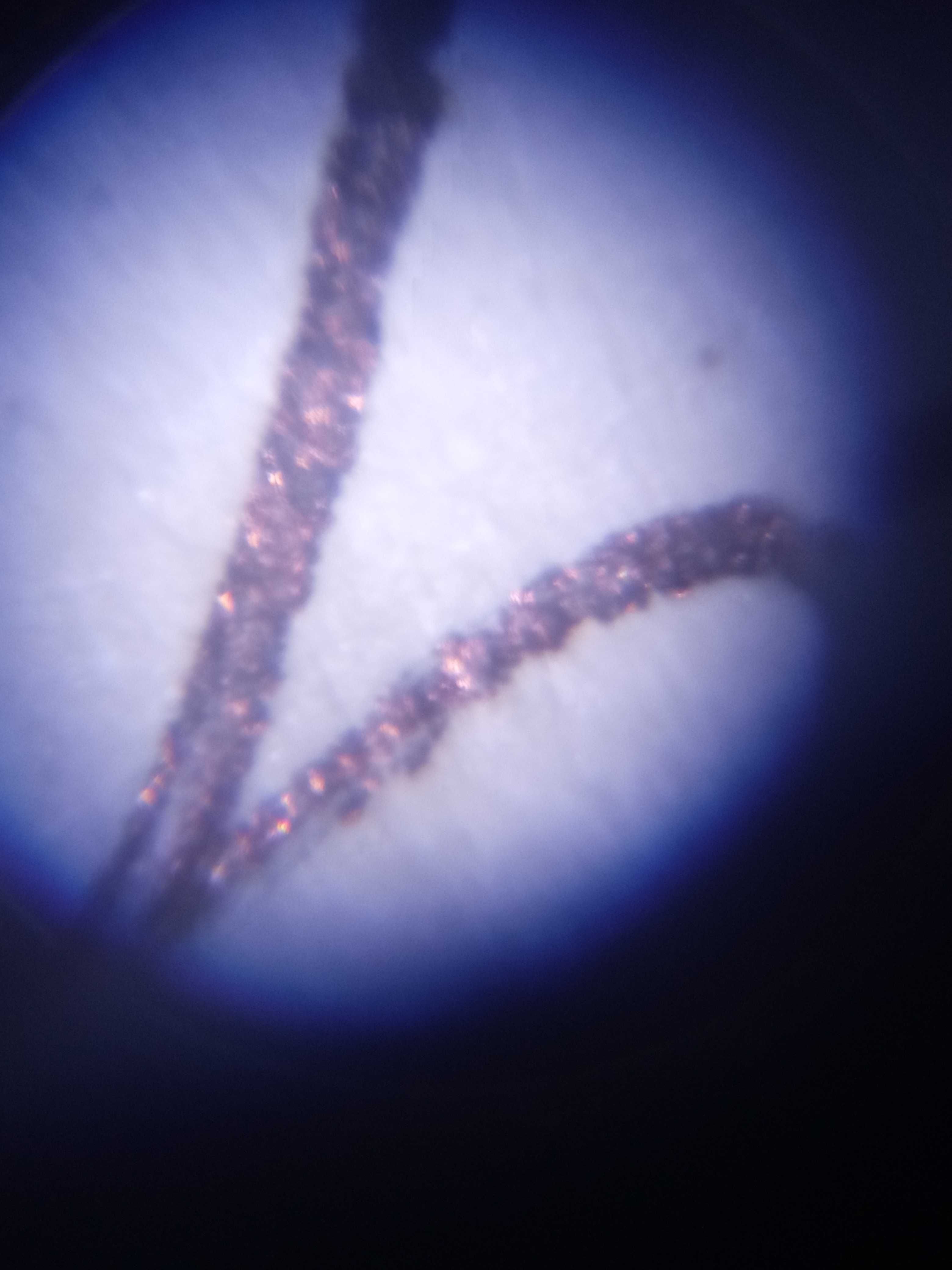 Микроскоп с подсветкой