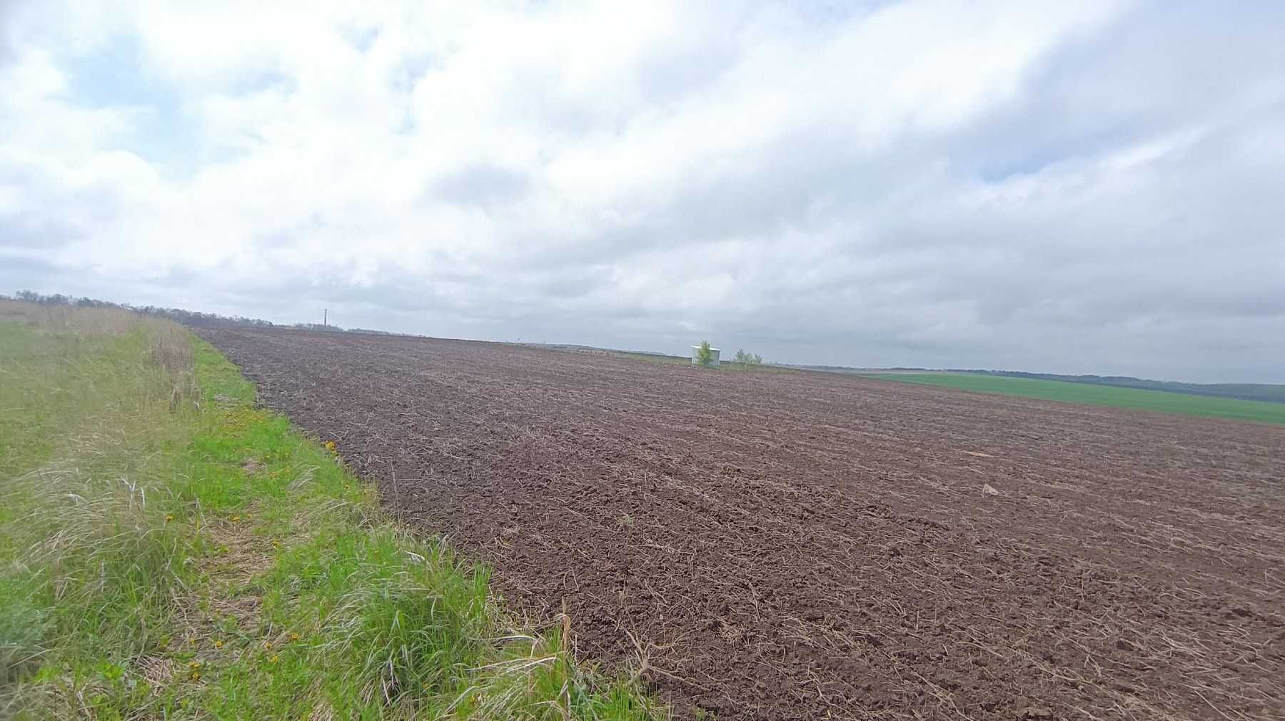 Продаж земельної ділянки район Лісові Гринівці