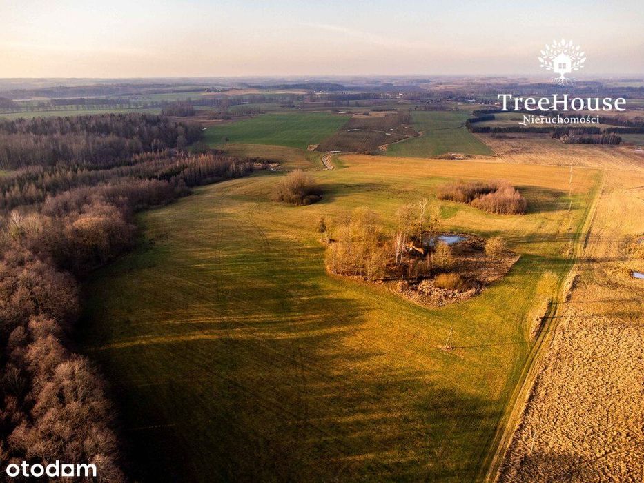 Działka rolna – Bartoszyce, Rodnowo