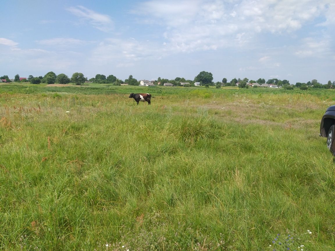 Продаж ділянки під забудову