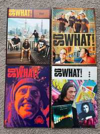 Lote de 38 revistas So What! Revista oficial MetClub Metallica