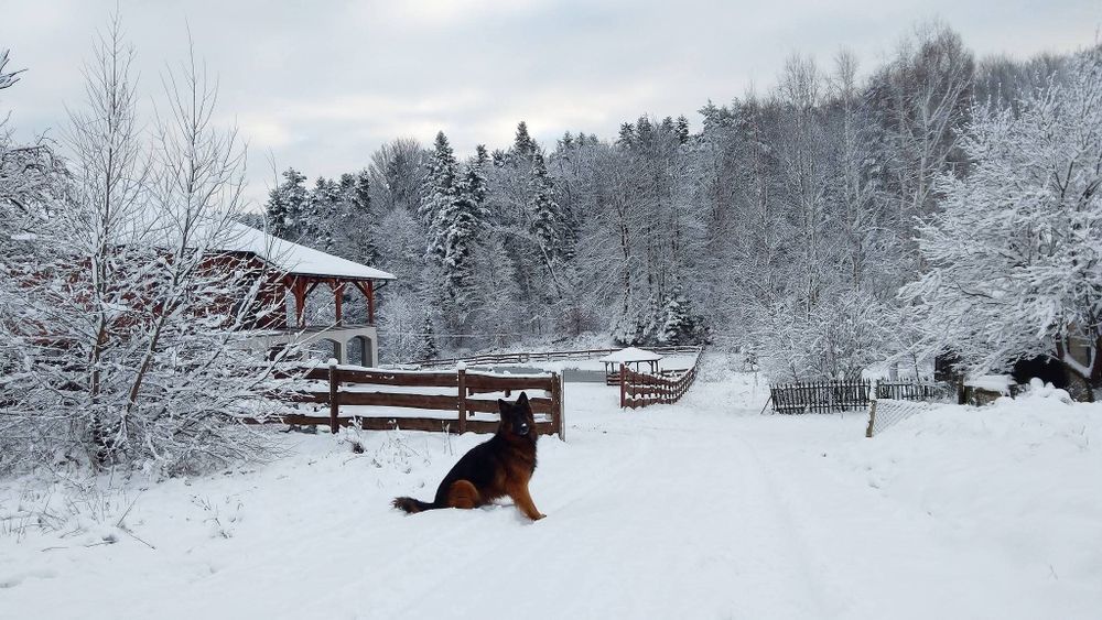 Święta domki, do 12 osób