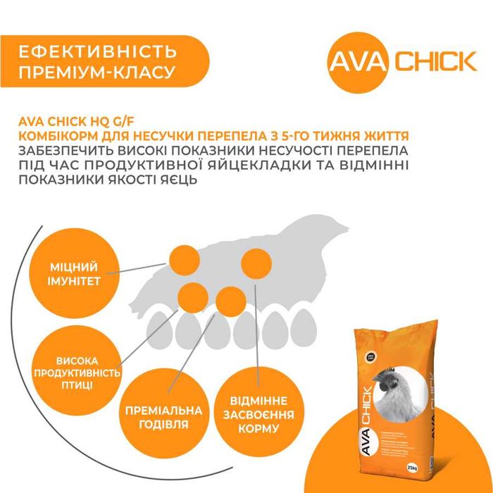 Комбікорм для яєчних перепелів AVA Chick HQ G/F. Мішок 25кг