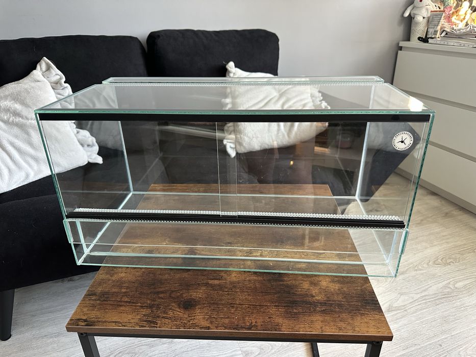 Terrarium dla jaszczurki węża pająka