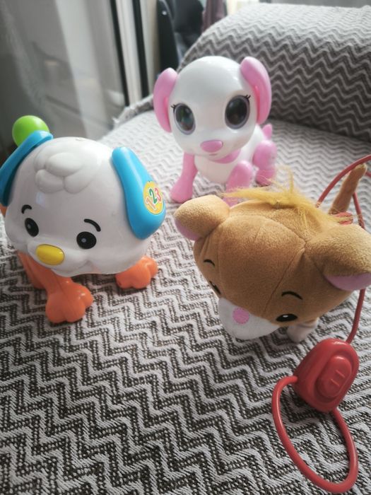 Robô verbaut, dog tou,tou gato de passeio