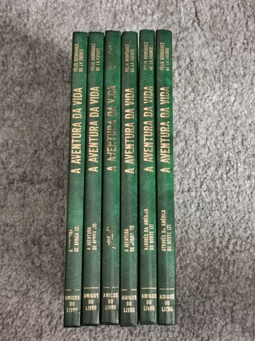 A aventura da vida