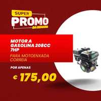 Motor Gasolina
208cc, para Motoenxada » Correia