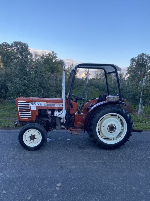 FiAT 55-76V, 3 cyl iveco 55KM, sadowniczy, sadownik, ferguson,renault