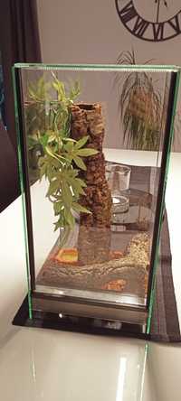 Terrarium dla gekona z wyposażeniem