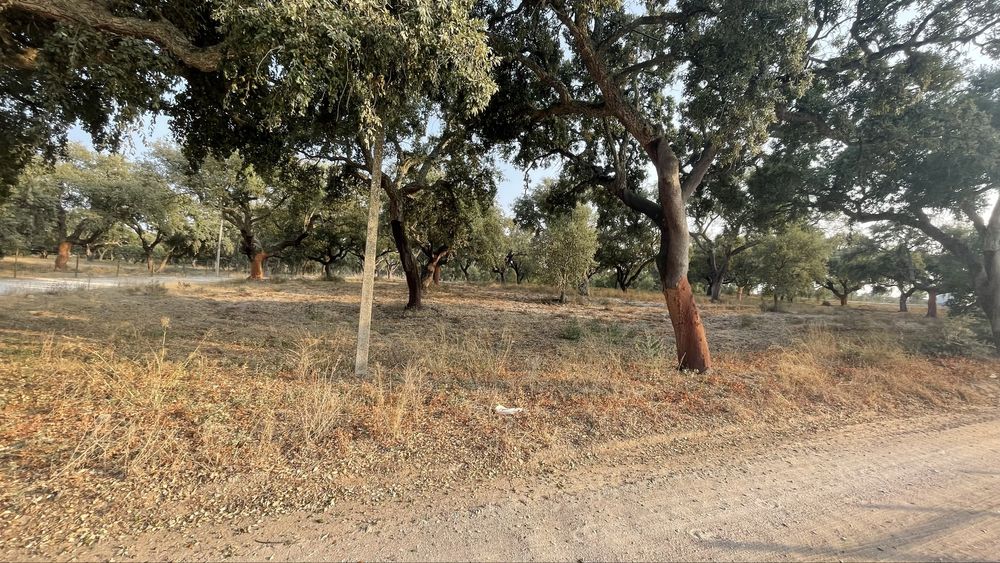 Quinta com 60000m2