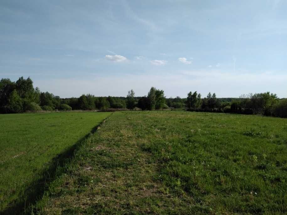 Działka w miejscowości Zabraniec Trzcinka koło Warszawy gm. Poświętne