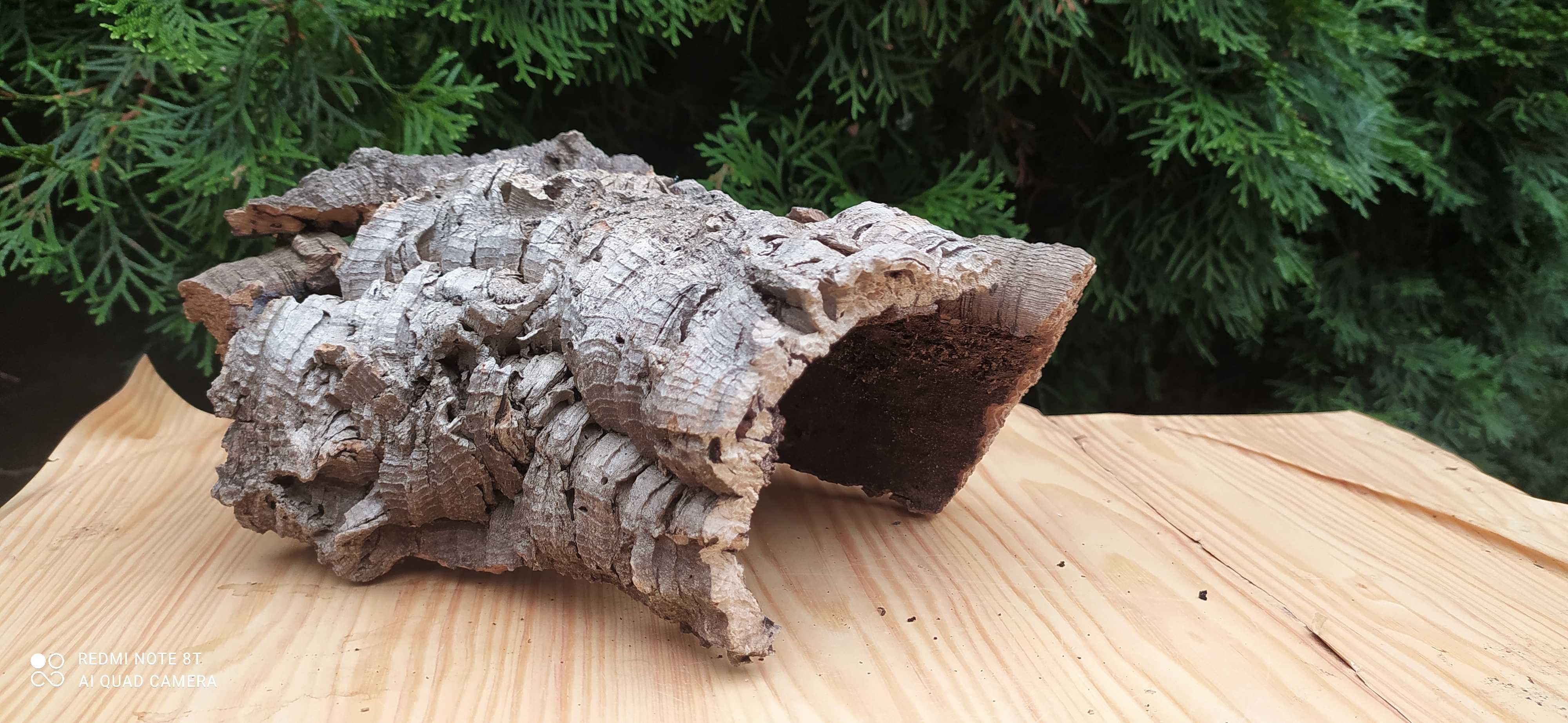 Grota z dębu korkowego do terrarium