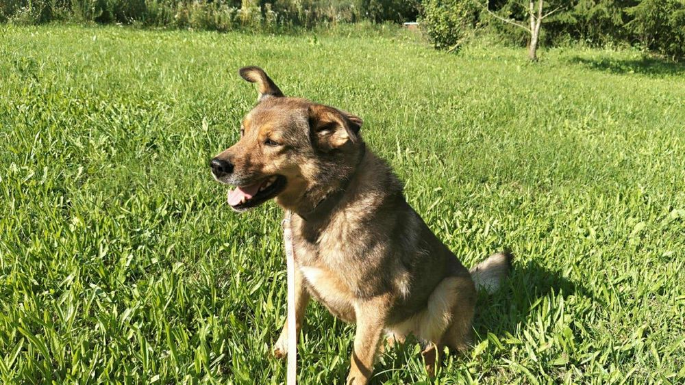 Biedna sunia ,prosi o dom.