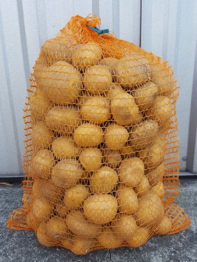 WORKI RASZLOWE 10kg 35x55 cm z pętelką ziemniaki drewno zrębki cebuli
