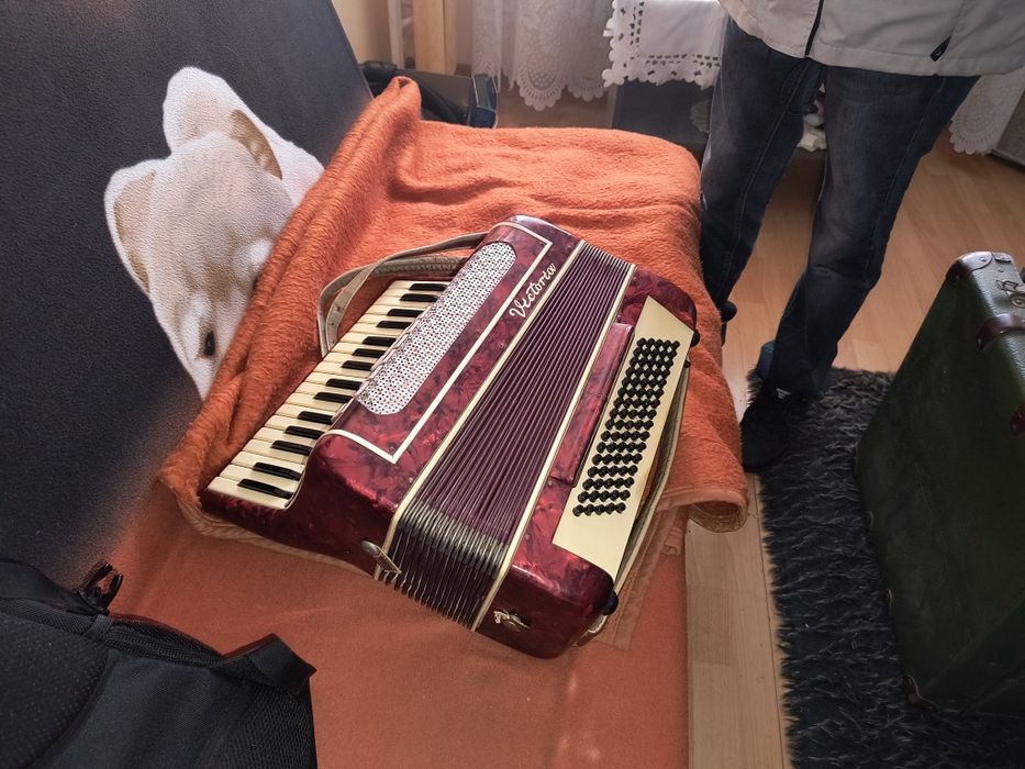 Akordeon harmonia Victoria 80
