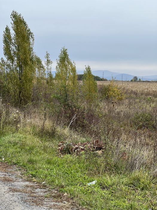 Продаються земельні ділянки