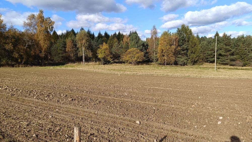 Sprzedam działkę rolną