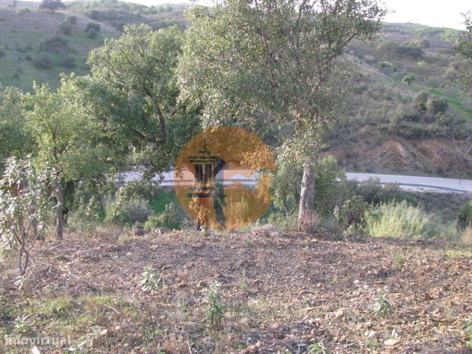 Terreno Rústico Com 3.520 M2 - Corte Do Gago - Azinhal - Castro Mar...