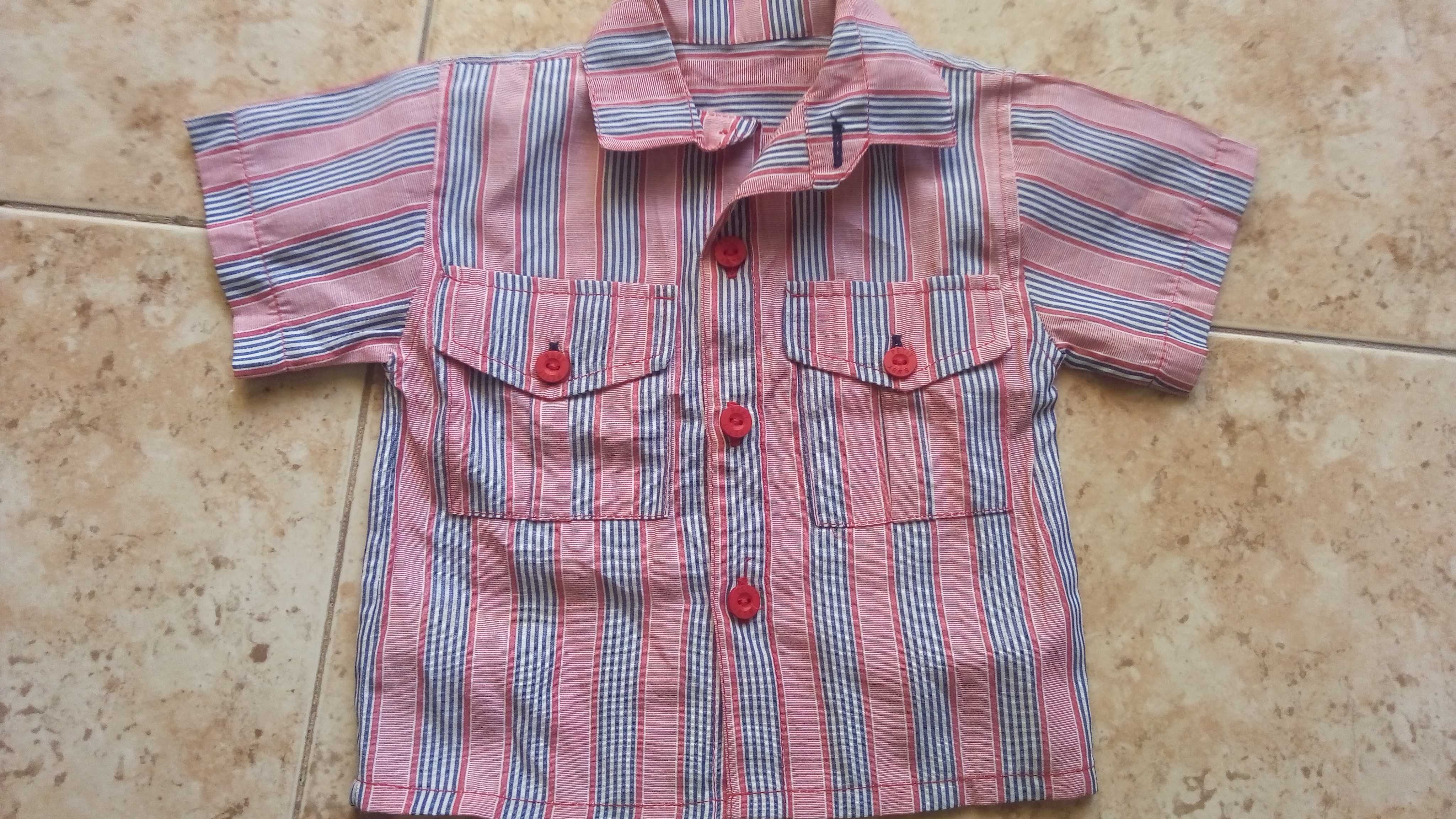 Camisas de menino 2-3 anos (como novas)