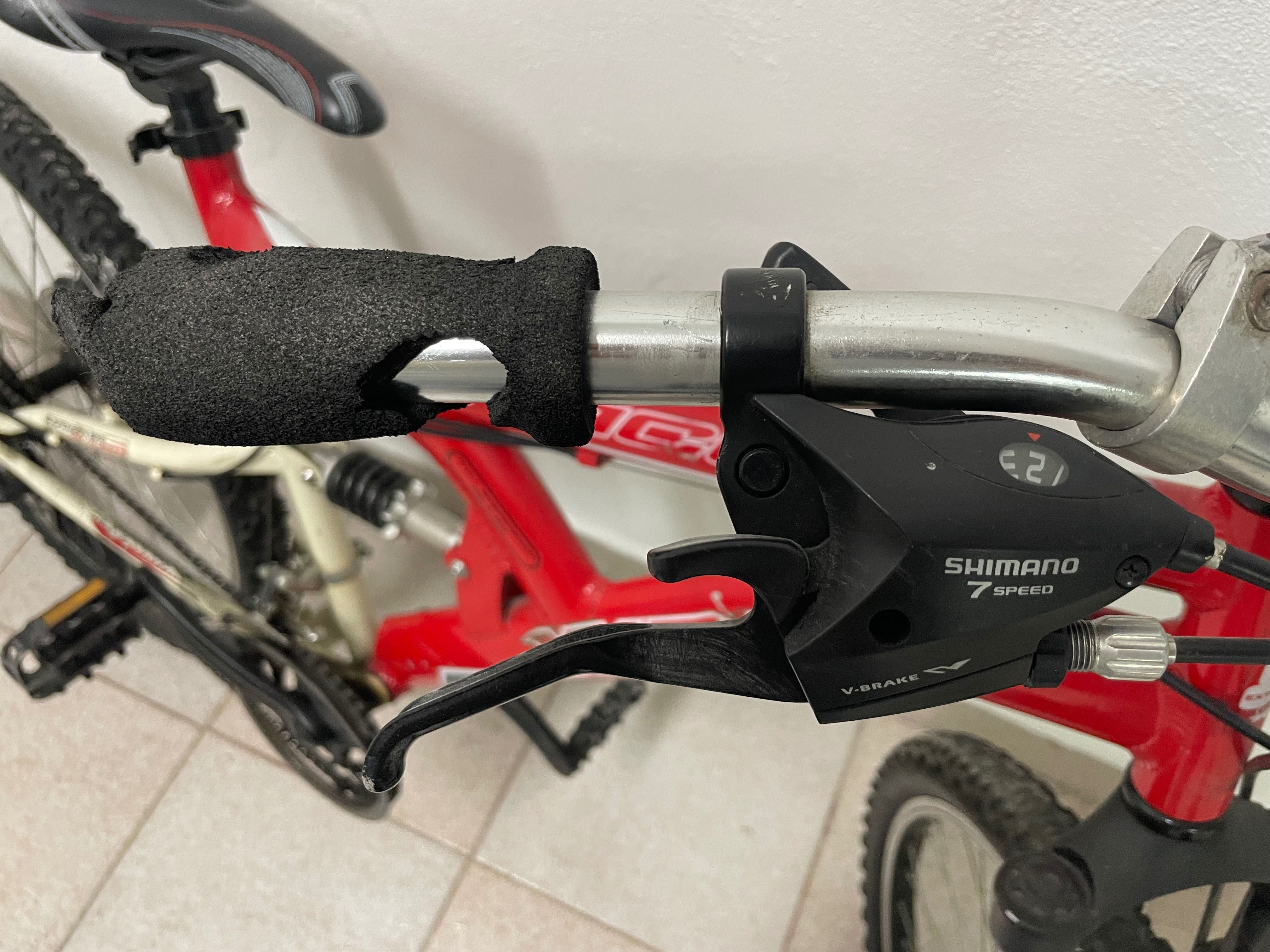 Bicicleta de montanha