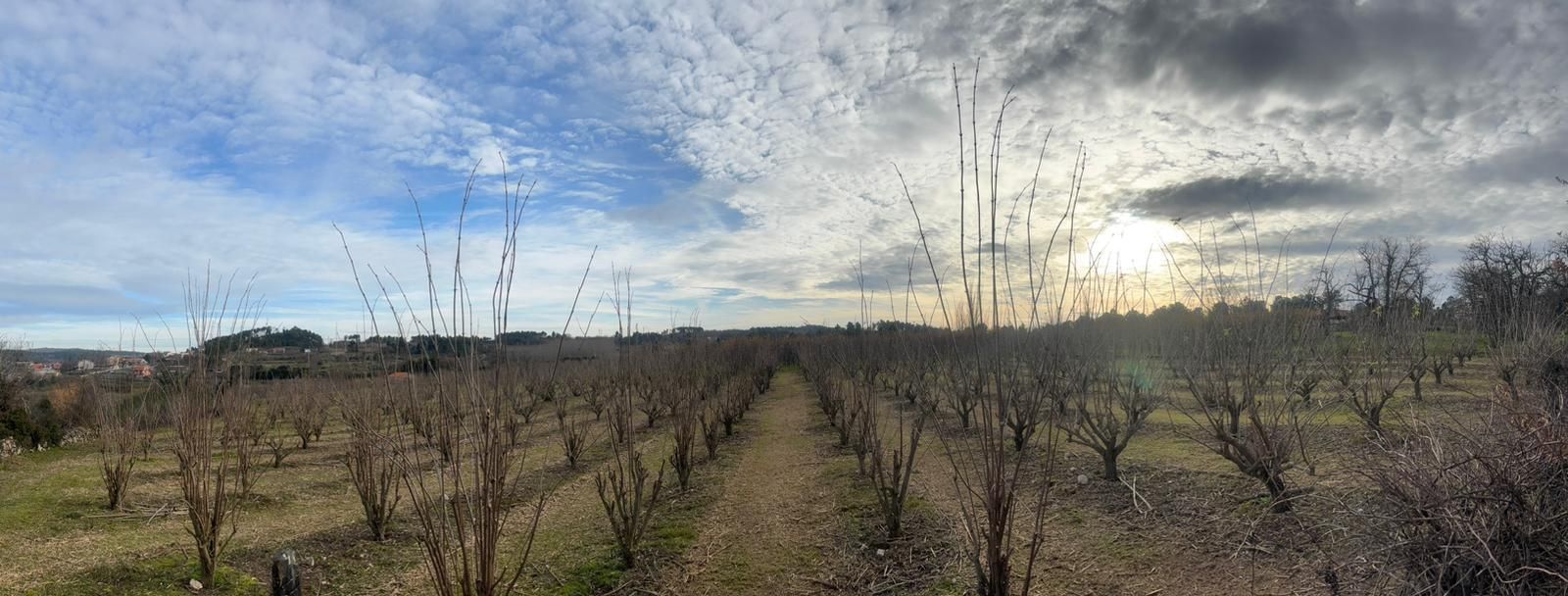 Vende se terreno com 7000 metros quadrados