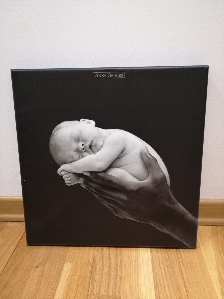 Quadro de Bebé de Anne Geddes