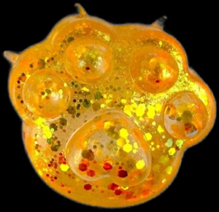 Zabawka antystresowa Squishy Moczi gniotek