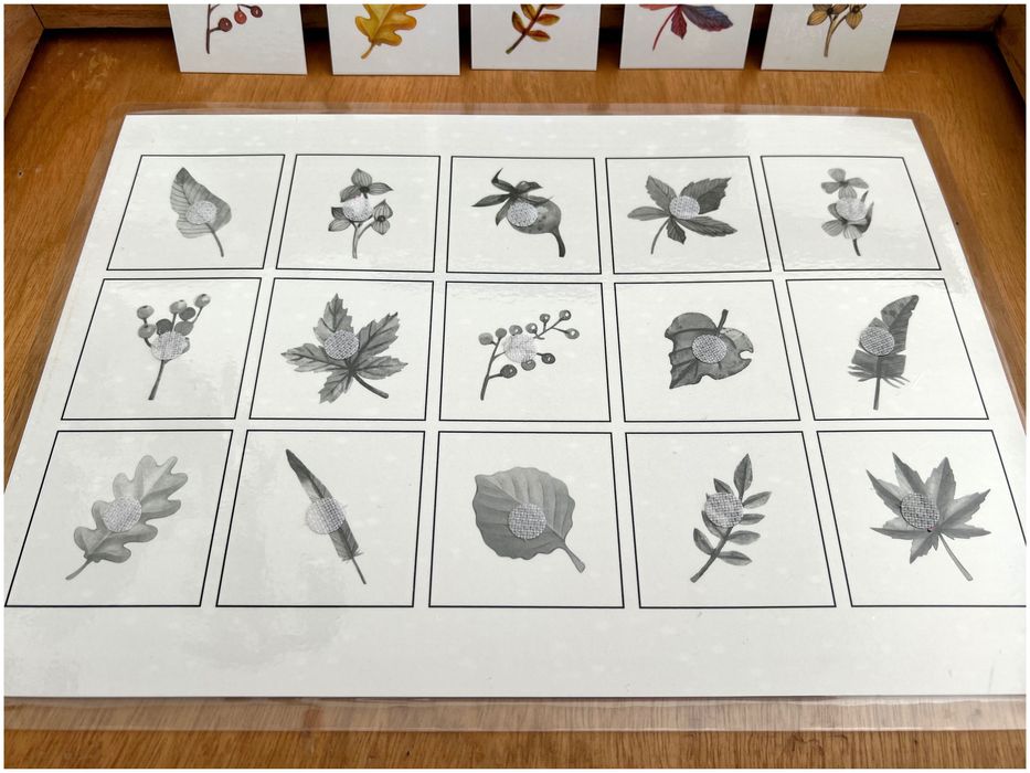 Encontra a minha sombra - Folhas