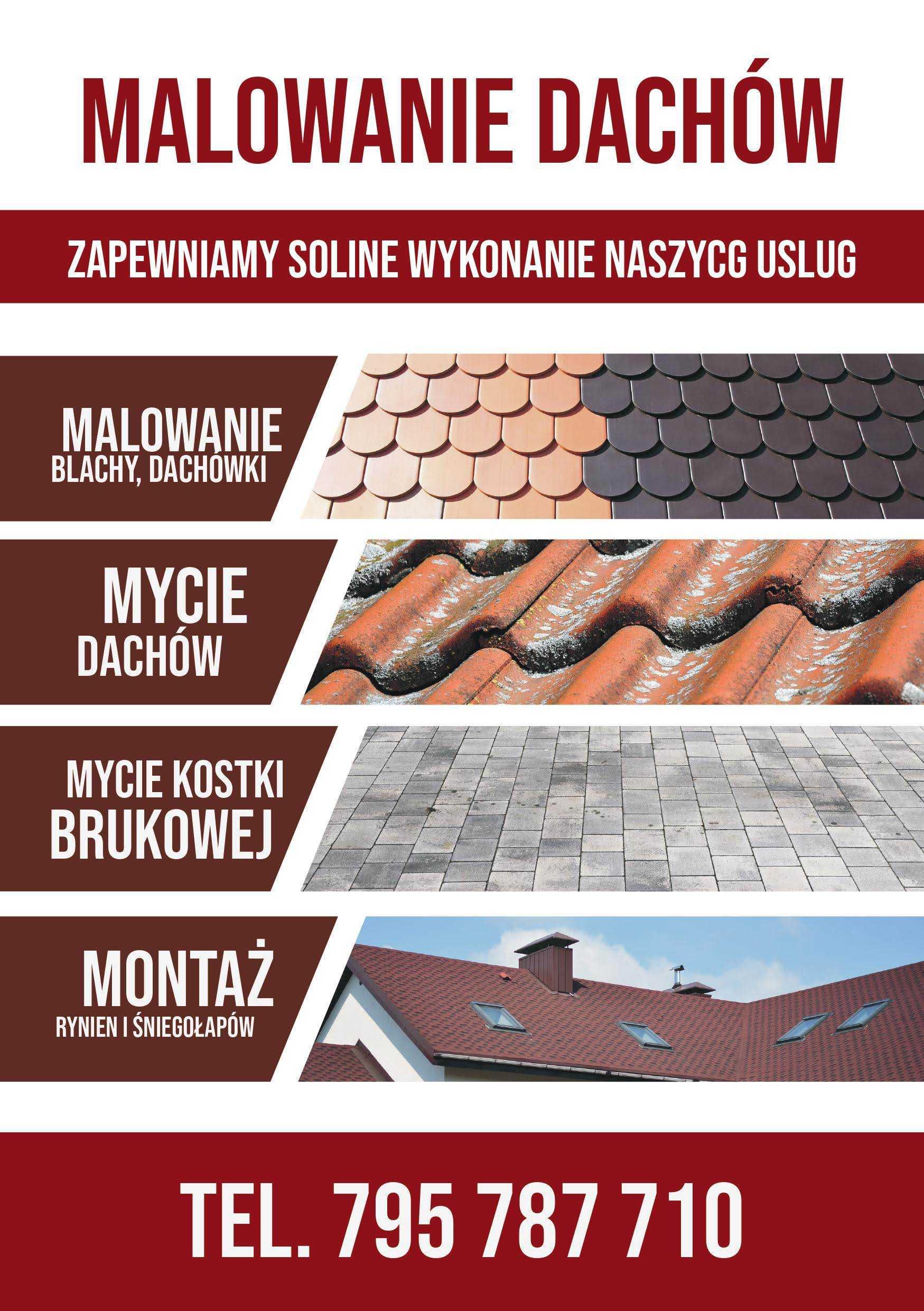 Malowanie czyszczenie Dachów, kominy rynny