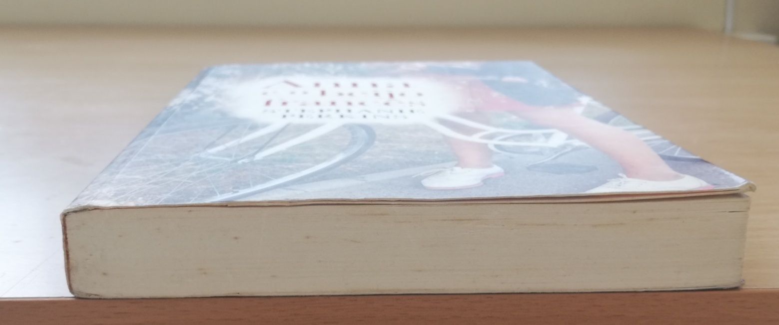 Livro " Anna e o beijo francês" de Stephanie Perkins