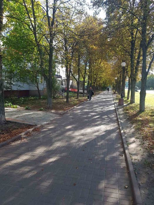 Здається приміщення в центрі міста Канів