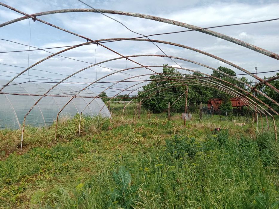 Sprzedam tunel foliowy