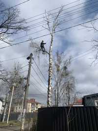 Видалення дерев,Спил дерев,Зрізання дерев,Кронування,Валка