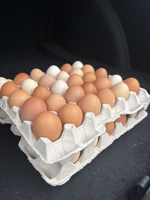 Яйце домашнє, яйця оптом , роздріб Кривий Ріг