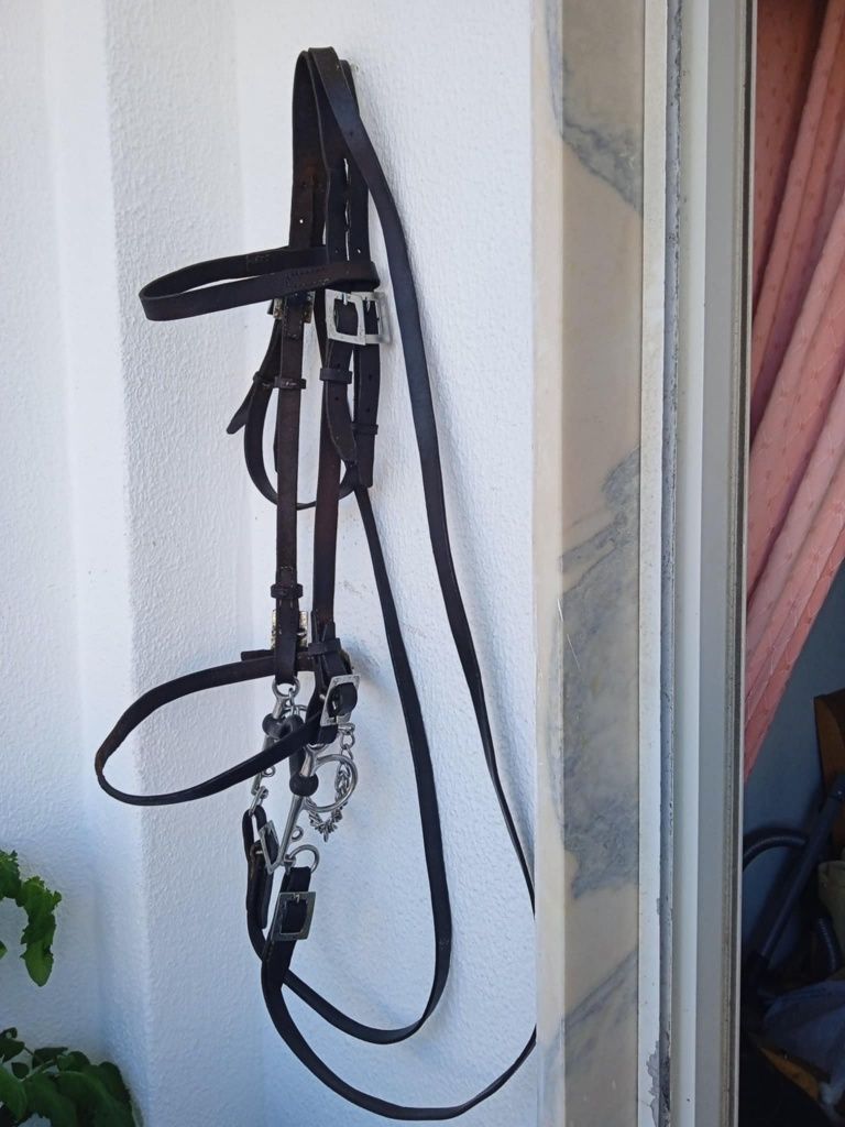 Vendo este material equestre