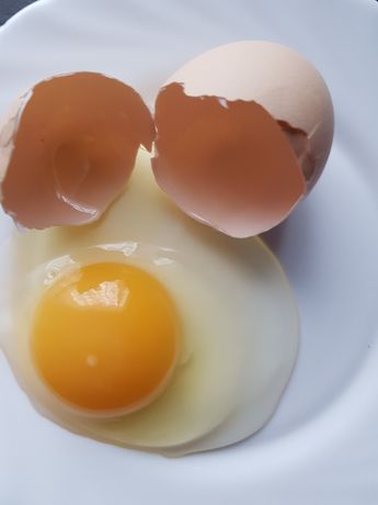 Jajka  świeże dostawa zapraszam JAKOŚĆ Jaja krem