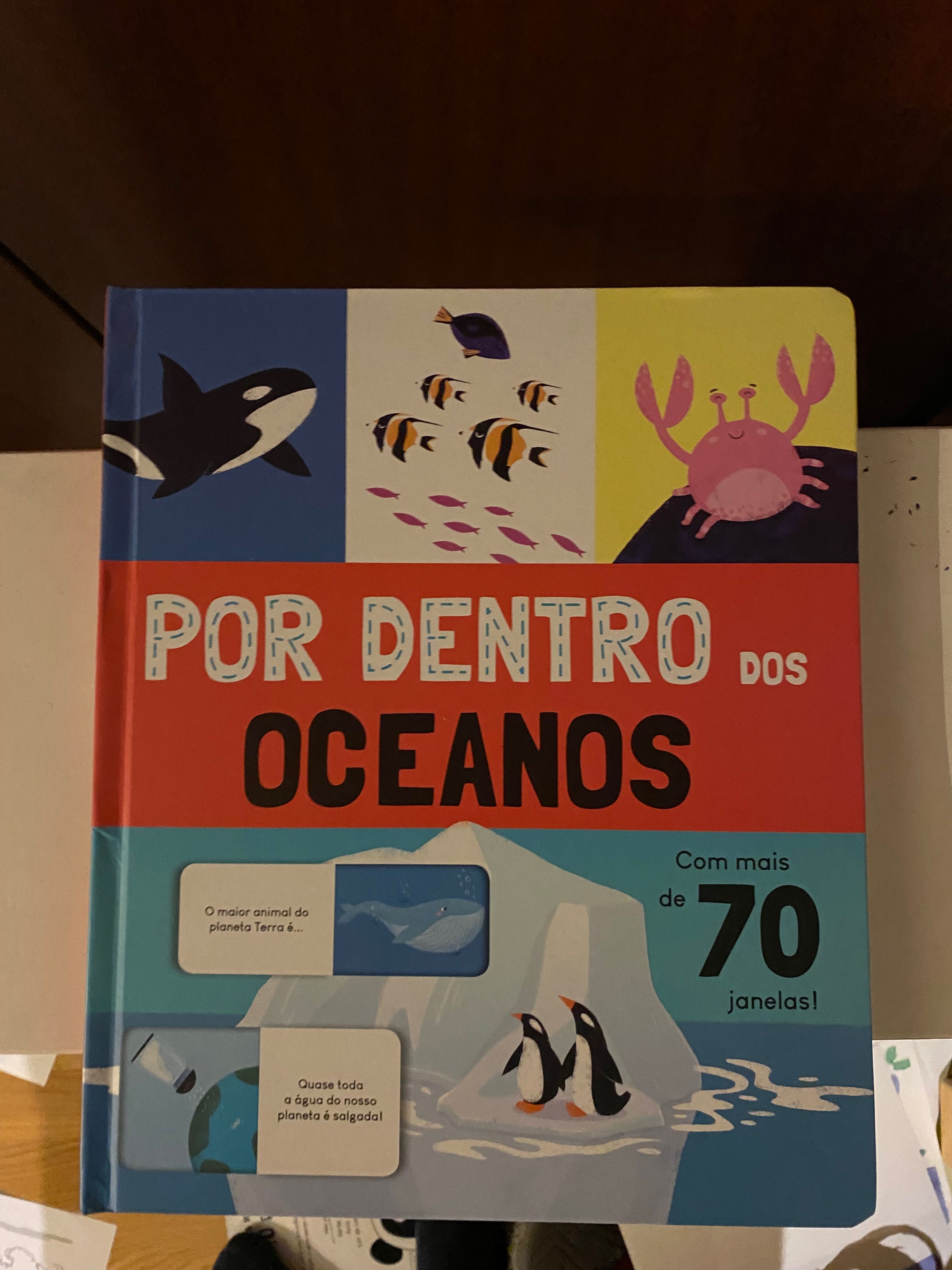 Por dentro dos oceanos