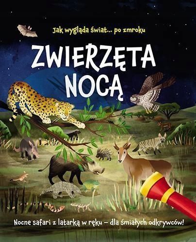 Zwierzęta Nocą. Nocne Safari Z Latarką W Ręku