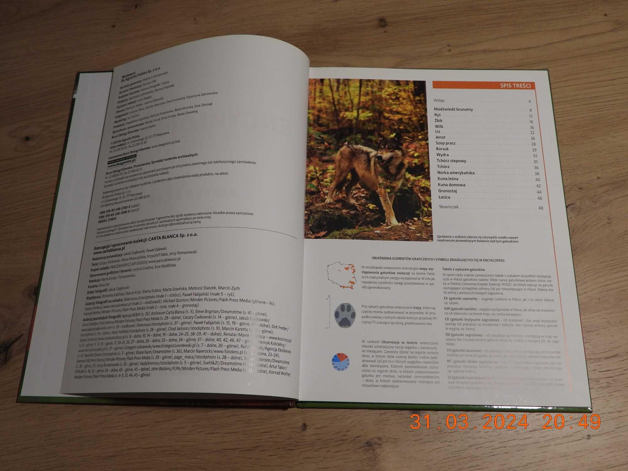 Encyklopedia Przyrody - Tom 6 Zwierzęta - Ssaki Drapieżne