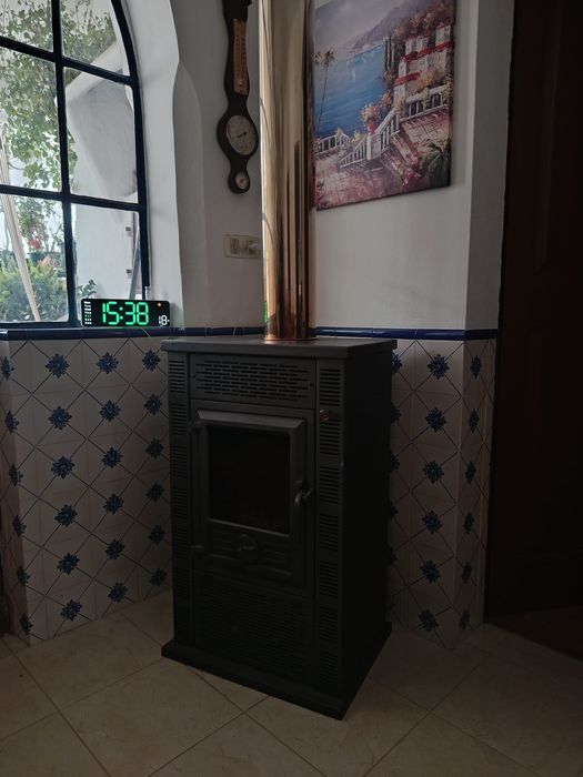 Salamandra em excelente estado