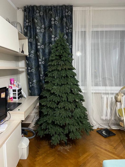 Ялинка лита Швейцарська